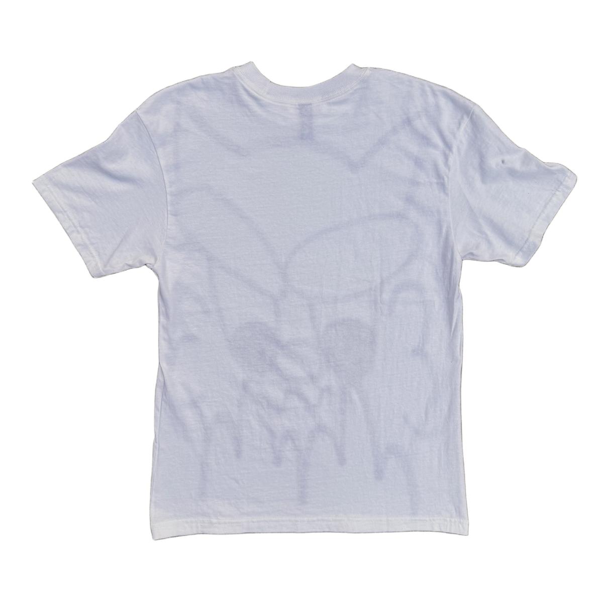 WHITE FRONT SPRAY 1 OF 1 TEE